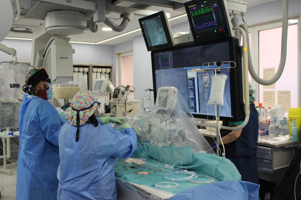 Professionals del Trueta fent un implant de TAVI.