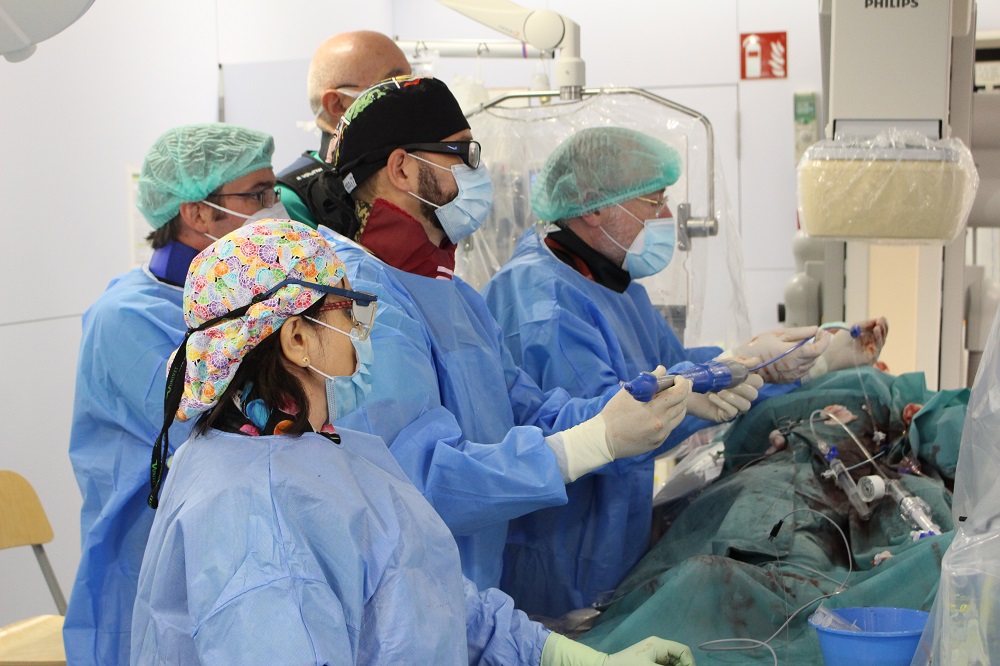 Professionals del Trueta fent un implant de TAVI.