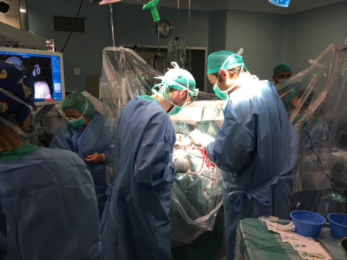Fotografia 5 durant la intervenció de cirurgia de mapatge cerebral
