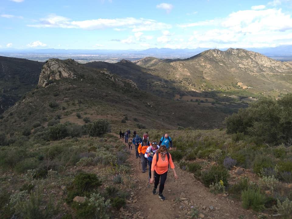 Caminada durant el Dia Mundial de l'Activitat Física