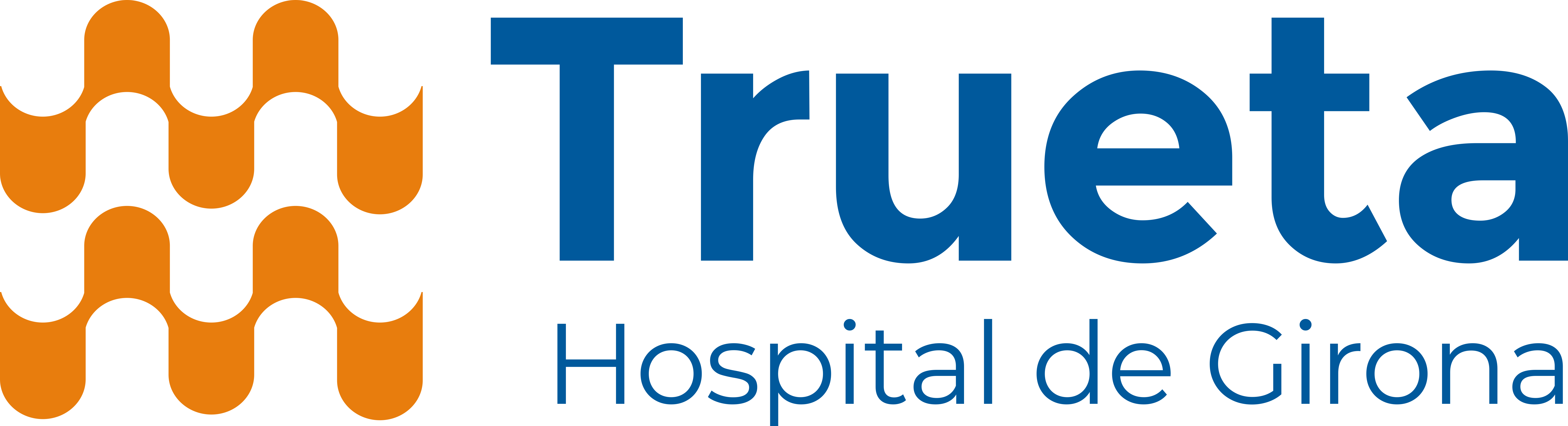 Nou logotip de l'Hospital Trueta