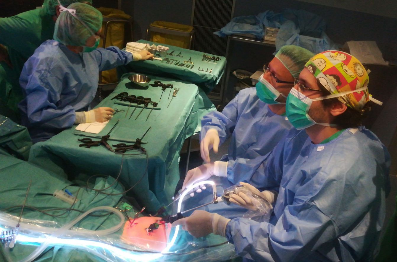 Foto de professionals del Servei de Cirurgia Pediàtrica del Trueta o el Santa Caterina intervenint