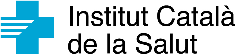 Logo ICS