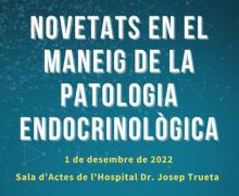 Capçalera del programa de la jornada "Novetats en el maneig de la patologia endocrinològica"