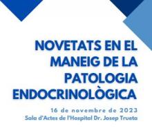 Capçalera del programa de la jornada "Novetats en el maneig de la patologia endocrinològica"