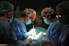 Foto de professionals del Servei de Cirurgia Pediàtrica del Trueta o el Santa Caterina intervenint