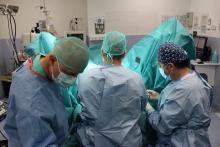 L'equip durant una intervenció quirúrgica per corregir el prolapse uterovaginal.