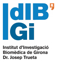 Logo IDIBGi