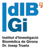 Logo IDIBGi