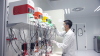 tècnic treballant amb bioreactors 